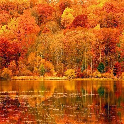 The Trees Are Changing Colors Over The Water