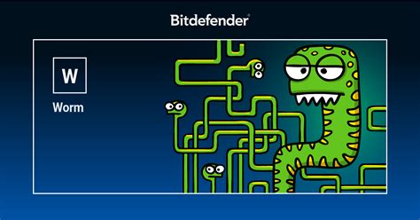 What Is A Computer Worm Prevention And Removal Bitdefender