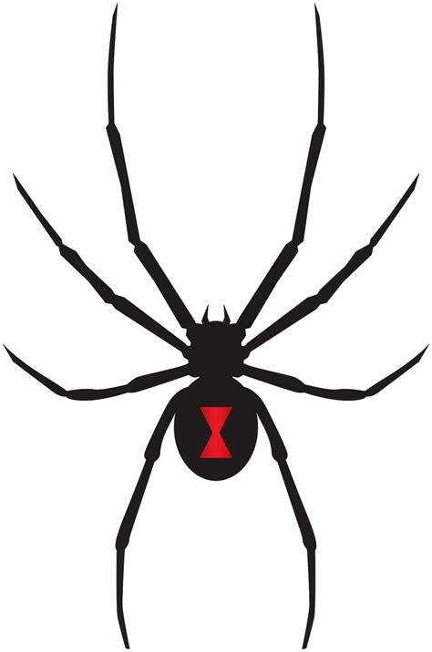 Download Black Widow Logo Png Emblem Png Free Png Ima