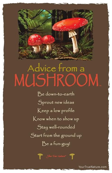 Advice From A Mushroom Frameable Art Card Advice Quotes Nature