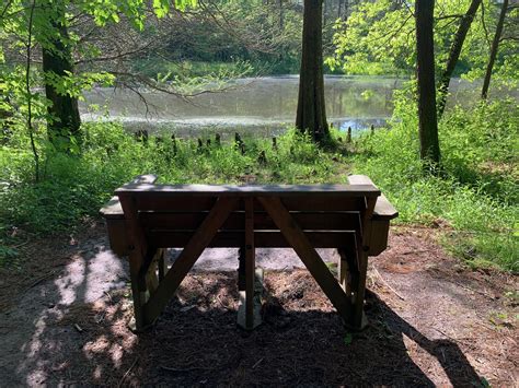 Cope bench by the pond - Photos from Chris Hardie