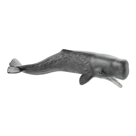 Sperm Whale Online Toys And T Shop Inostream