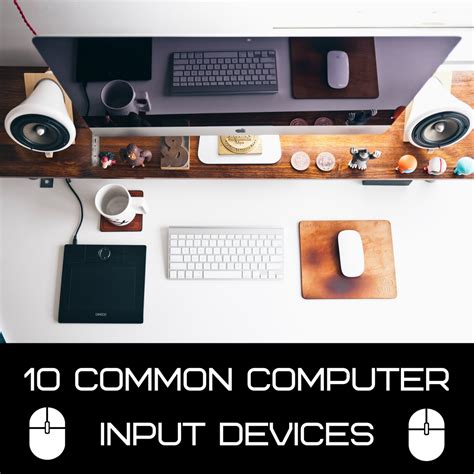 Computer Basics: What Is an Input Device? 10 Examples - TurboFuture gambar png