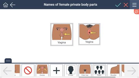 Names Of Female Private Body Parts Secca