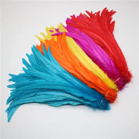 Wholesale 100pcs Natural Cock Tail Feathers 25 40cm 10 16inch Clothing Decoration Stage