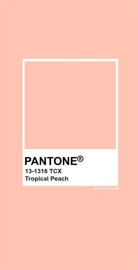 Pin By Dahlia Mercier On Peaches Pantone Colour Palettes Pantone