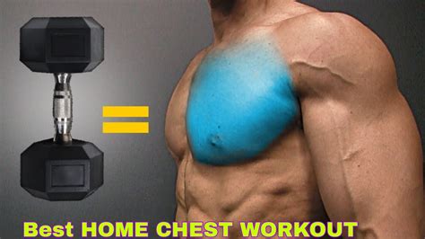 best chest exercises at home dumbbell only youtube
