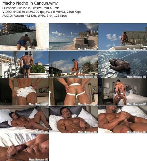 Сollection Of Xxl Gay Videos Page 41