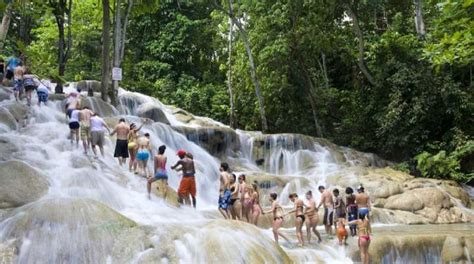 Jamaica Dunns River Falls And Jungle River Tubing Tour Getyourguide