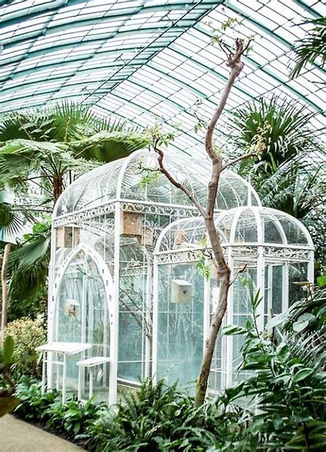 Bird cage lamp hanging on top. Beautiful bird cage ideas 1 - Home Decor Interior ...