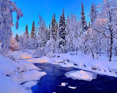 Hd Wallpaper Winter River Snow Landscape Forest Tree Spruce
