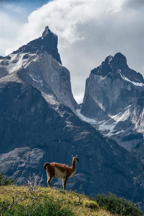 Backpacking Patagonia Torres Del Paine National Park Chile Artofit