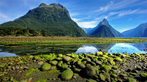 445697 Trees Rocks River New Zealand Plants Nature Sky Clouds