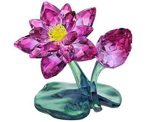 A wide variety of crystal flower swarovski options are available to you, such as use, material, and occasion. Swarovski Collection Nature Crystal Lotus Flower in Pink ...