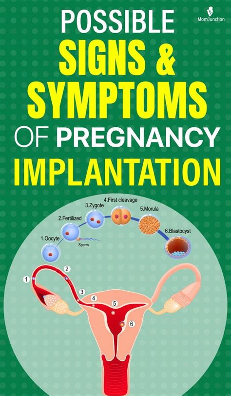 When Does Implantation Occur And What Are Its Signs And Symptoms Artofit