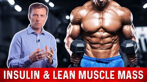 Insulin & Lean Muscle Mass Explained By Dr. Berg 