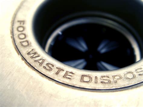 Things That You Should Never Put In The Garbage Disposal Food That