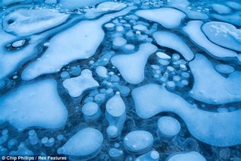 Surreal Frozen Bubbles In Canadian Lake Global Times