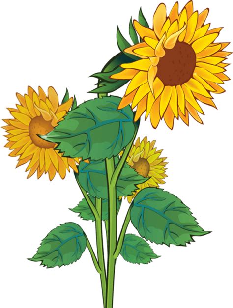 Free Sunflower School Cliparts Download Free Clip Art Free Clip Art