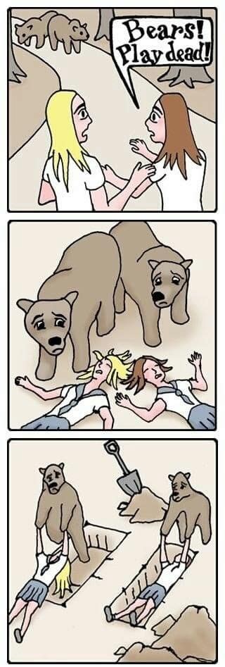 Two Comics With Bears And People In The Middle One Is Being Bitten By