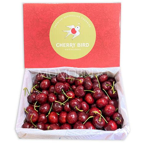 Jumbo Australian Cherry Bird Lapin Red Cherry 2kg Box — Momobud