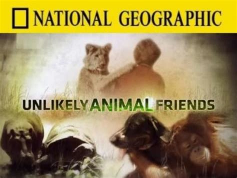Unlikely Animal Friends Season 4 Air Dates And Countd