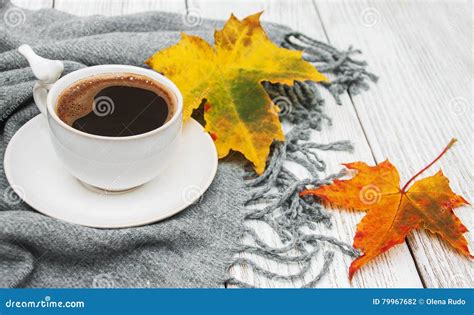 Cup Of Coffee And Autumn Leaves Stock Photo Image Of Leaf Leisure