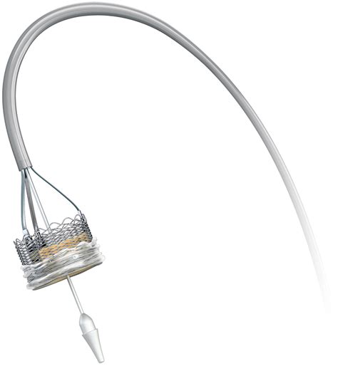 Boston Scientific Lotus Transcatheter Aortic Valve System To Clear On
