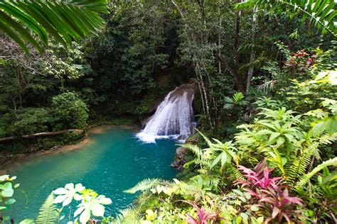 Top 5 Reasons to Visit Jamaica | itravel2000.com