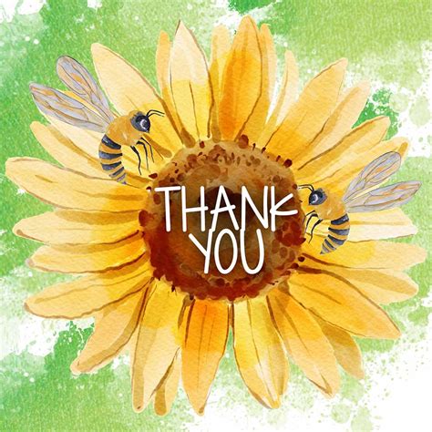 Sunflower Thank You Ecard Ozami Birthday Anniversary Online