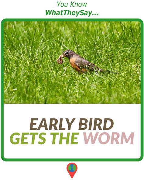 Early Bird Gets The Worm