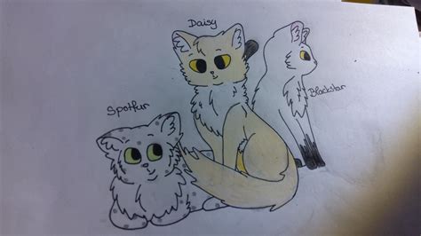 Spotfur Daisy And Blackstar Warrior Cats