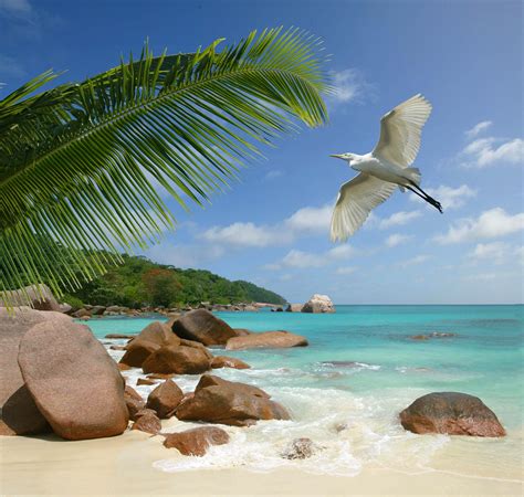 Photographies Les Seychelles Pictures Photos Libres De Droits Des