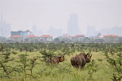 Top 10 Attractions In Nairobi To Visit Transit Hotels