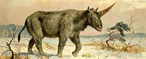 China， all year 2017 supplier transaction record 42 item. A Fossilised Skull Has Revealed When The Last 'Siberian ...