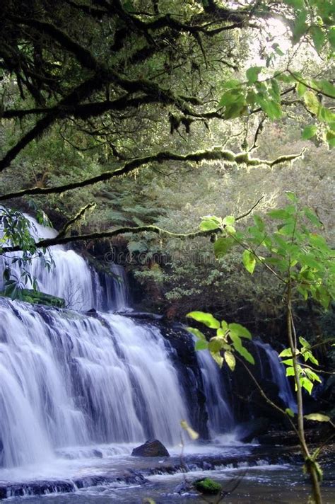 Cascade Water Fall Stock Photo Image Of Forest Stream 169006