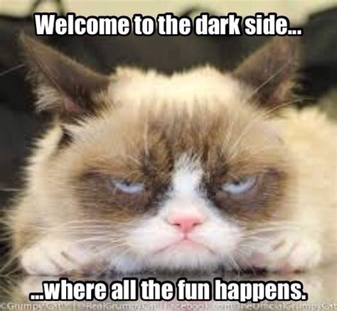 Welcome back minion lady three celebrate minions meme. Welcome to the dark side where all the fun happens ...