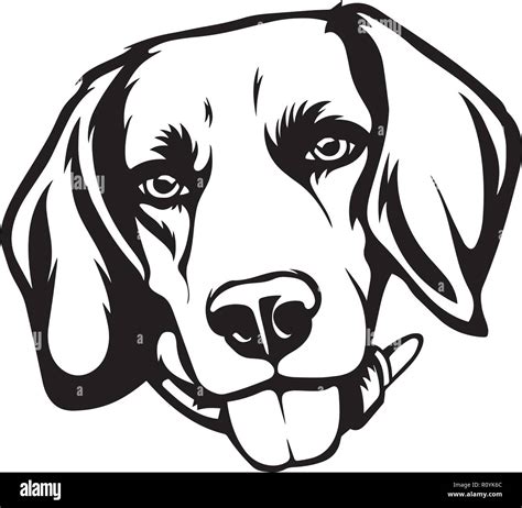 Beagle Silhouette Hi Res Stock Photography And Images Alamy