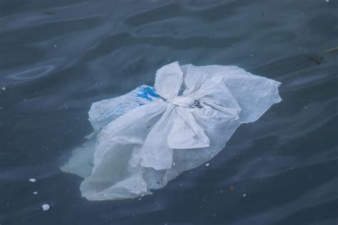 Plastic Plastic Everywhere Study In Estonia