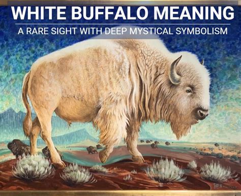 The Spiritual Significance Of Native American Animal Symbolism
