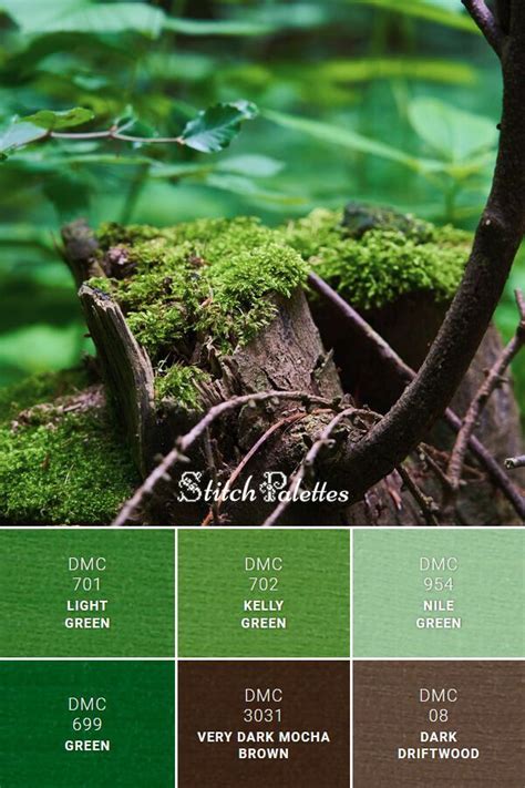 Forest Greens Kelly Green Color Scheme Green Palette Green Color