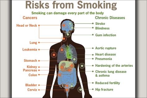 24 x36 gallery poster health risks from smoking cdc diagram cancer heart disease