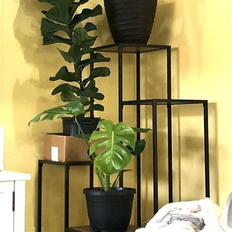 Indoor Tiered Plant Stand Ideas On Foter