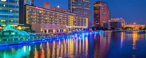 Downtown Hotels Tampa Sheraton Tampa Riverwalk Hotel