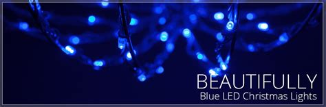 At novelty lights, inc., we pride ourselves in being the christmas light and outdoor string light experts with a sales staff that has years of experience with all types of christmas and outdoor lighting projects we've got it all from the classic incandescent christmas lights and the newer led christmas lights. Blue LED Christmas Lights