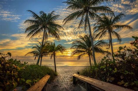 128965 Beach Sunset Palm Trees Caribbean Sea 5k