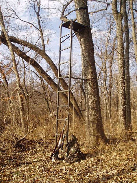 Types Of Deer Hunting Tree Stands And Reviews Of The Best Models