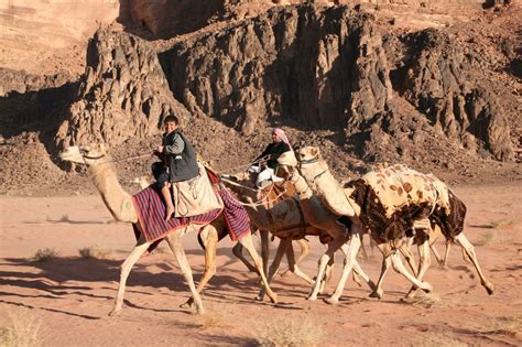 Many archaeological materials show that the hinterland of the desert is silent and prosperous. Desert Vistas and Camel Races in Wadi Rum - Reflections ...