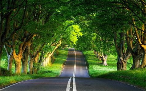 Download Gambar Pemandangan Untuk Wallpaper