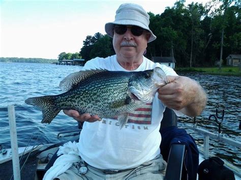 Florida Fishing Report Lake Talquin